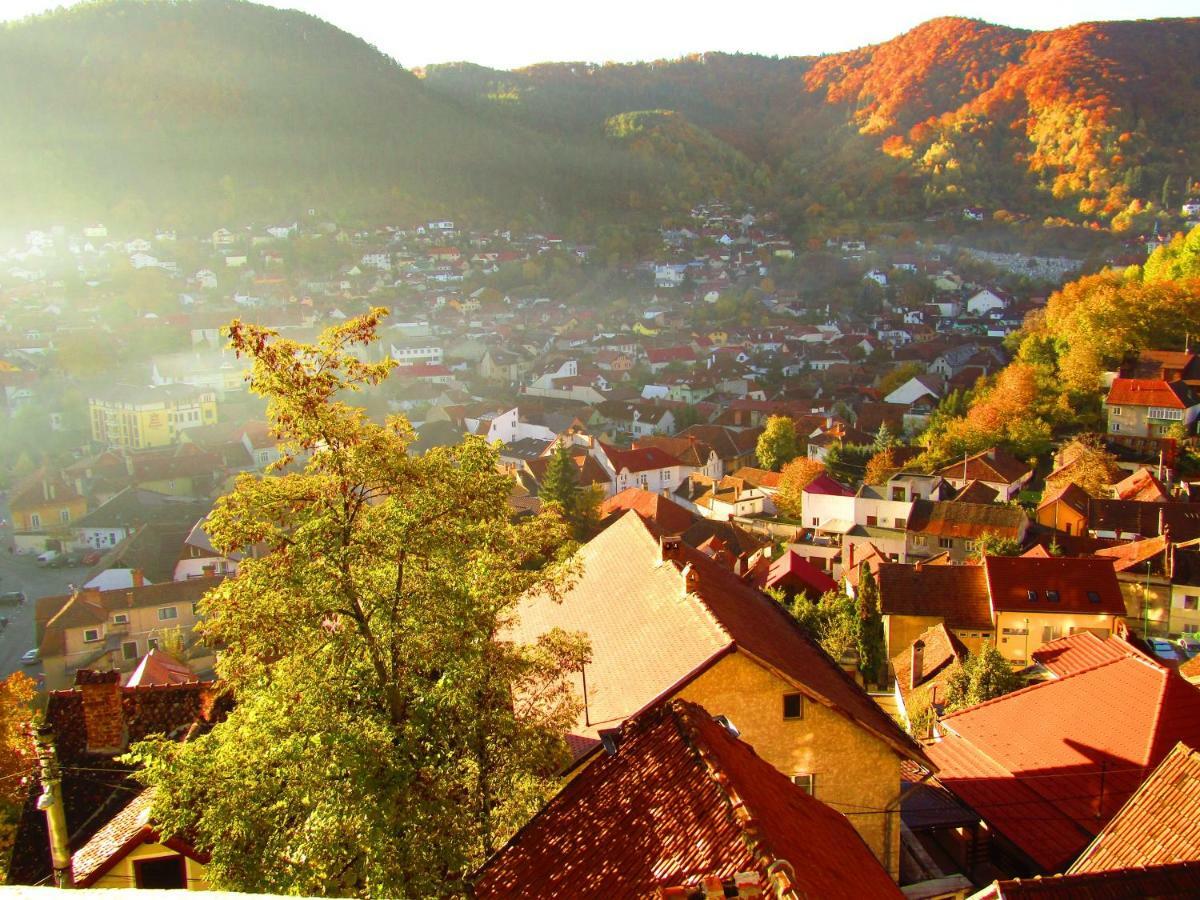 Vila Paul Best Paronamic View Over Medieval Historical Centre Brasov Exterior photo